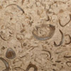 shellstone
